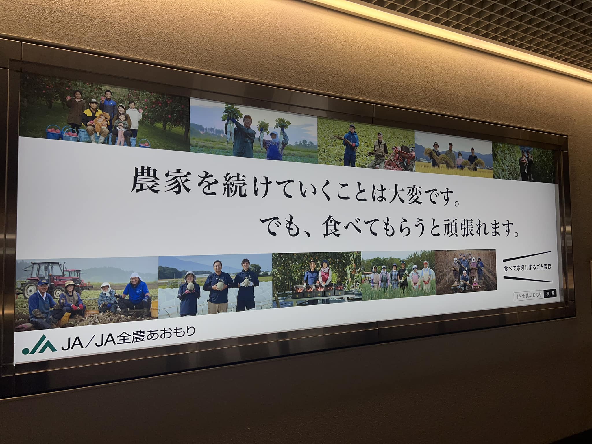 JA　全農　あおもり　羽田空港